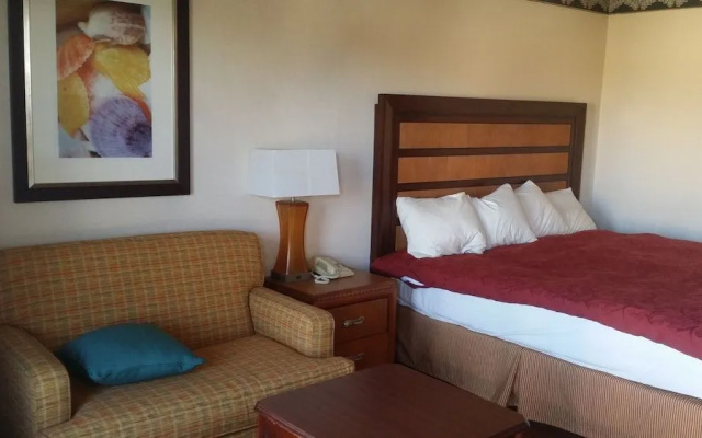 photo 4 of Studio 9 Inn & Suites
