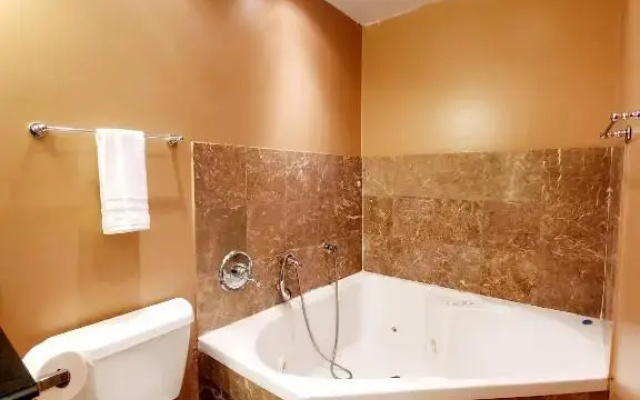 photo 4 of Studio with Jacuzzi Close to Loyola FREE PARKING