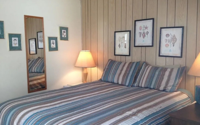photo 4 of Sun N Fun Beachfront Vacation Rentals