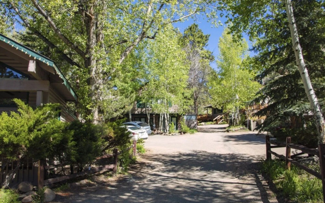 photo 3 of Sunnyside Knoll: 19 1 Bedroom Apts