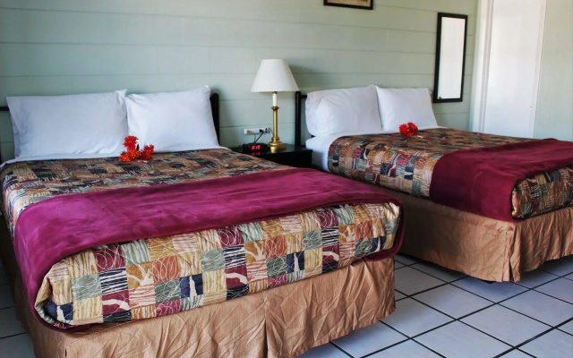 photo 4 of Sunshine Inn & Suites Venice, FL