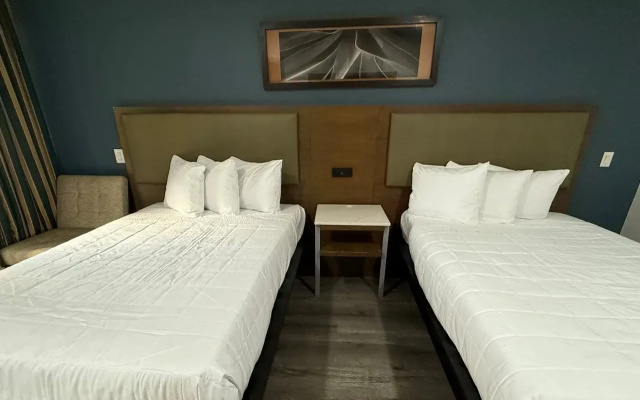 photo 5 of DTLV, a Baymont by Wyndham