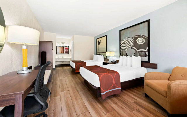 photo 3 of Super 8 By Wyndham Florida City/Homestead/Everglades