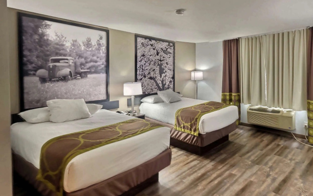 photo 2 of Super 8 by Wyndham Georgetown