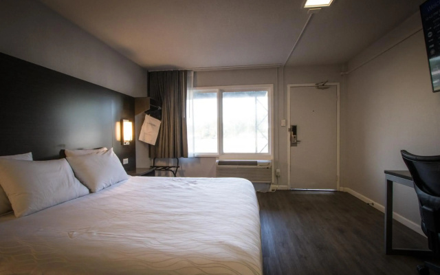 photo 4 of Envi Boutique Hotel Henderson-Evansville South