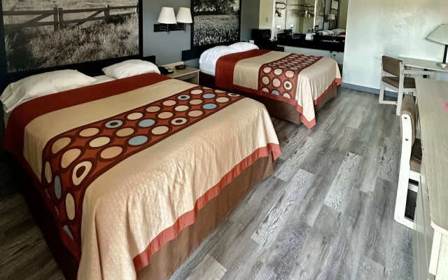 photo 3 of Super 8 by Wyndham Irving/DFW Apt/North