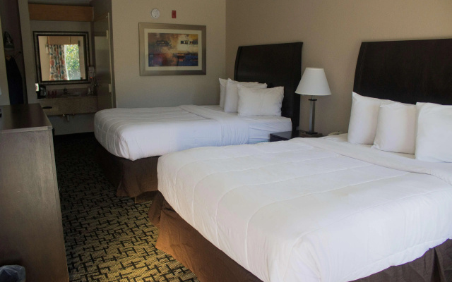 photo 4 of SureStay Hotel by Best Western North Myrtle Beach
