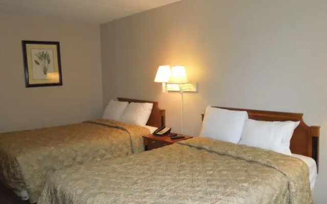 photo 5 of Super 8 Motel - Springfield