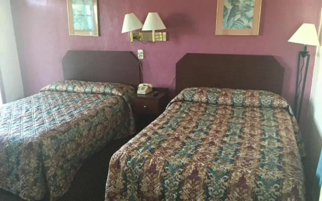 photo 4 of Tamiami Motel