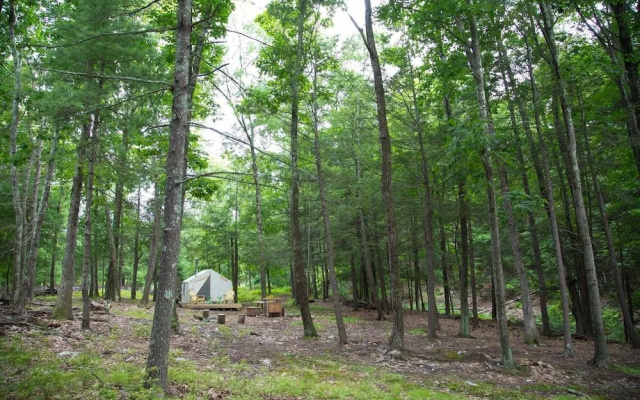 photo 4 of Tentrr - Camp Anulyfe