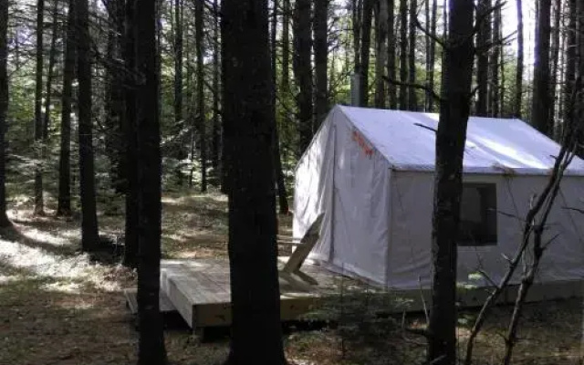 photo 2 of Tentrr - Pondwood Pines in Wonalancet