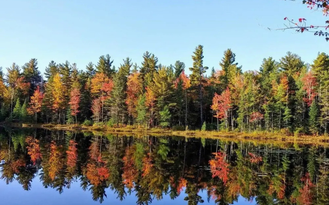 photo 5 of Tentrr - Pondwood Pines in Wonalancet