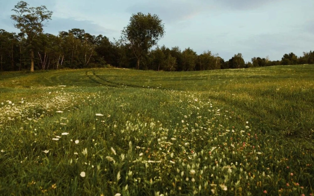 photo 5 of Tentrr - Private Peaceful Farm Venture