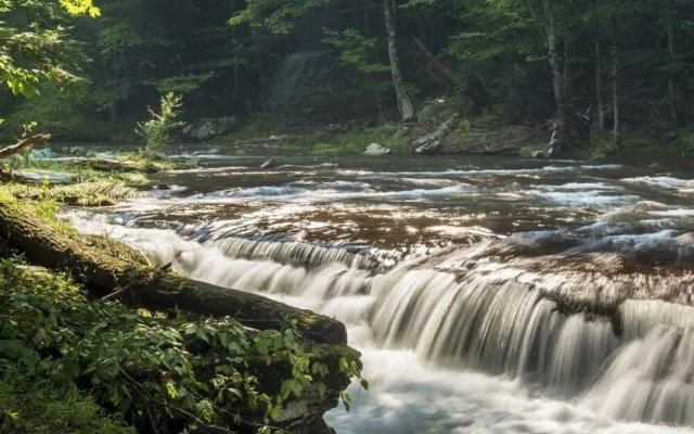 photo 2 of Tentrr - Purling Waters at Tumblin' Falls - Campsite