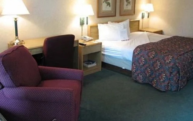 photo 3 of The Chariot Hotel