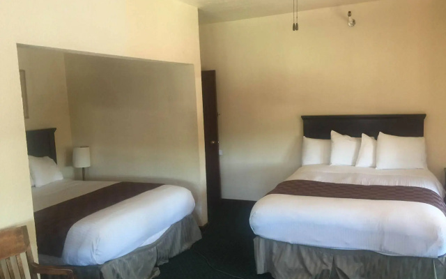 photo 2 of College Inn Hotel