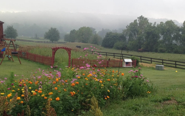 photo 5 of The Dragonfly Bed and Breakfast