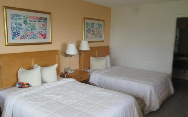 photo 2 of The Flamingo Resort - Adult Resort