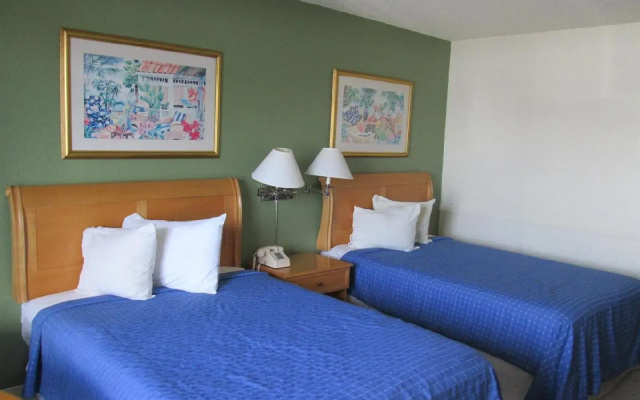 photo 4 of The Flamingo Resort - Adult Resort