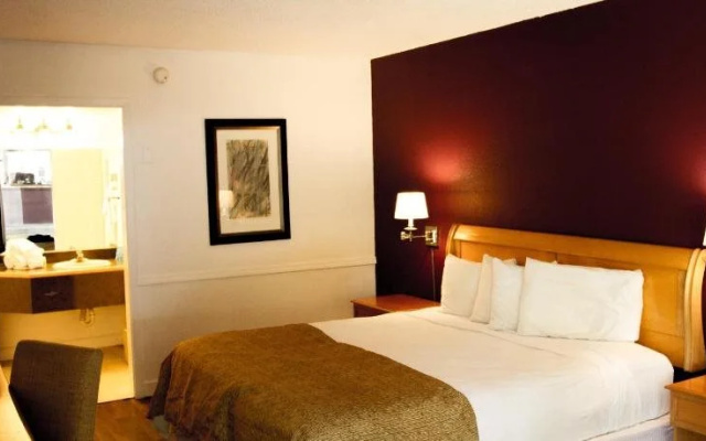 photo 5 of The Flamingo Resort - Adult Resort