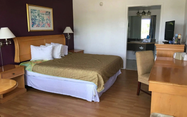 photo 2 of The Flamingo Resort - Gay Adult Resort