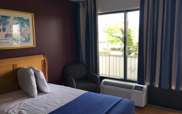 photo 4 of The Flamingo Resort - Gay Adult Resort