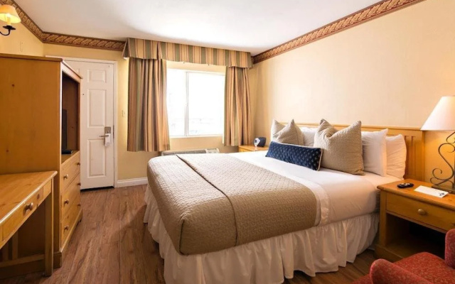 photo 4 of The Green Room Hotel