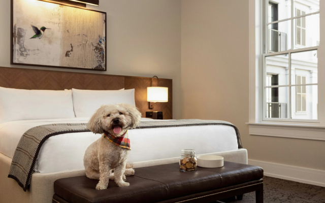 photo 3 of The Harpeth Franklin Downtown, Curio Collection by Hilton
