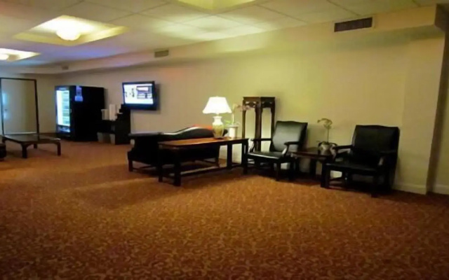 photo 4 of The Hotel 91