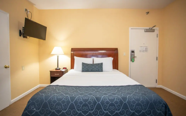 photo 5 of The Hotel Hollywood