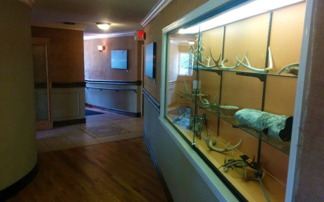 photo 4 of The Monte Vista Hotel