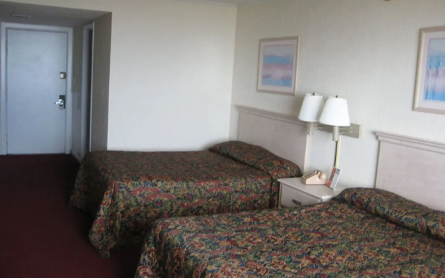 photo 2 of Oasis Hotel