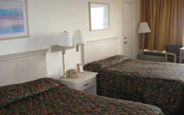 photo 3 of Oasis Hotel