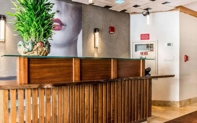photo 2 of The Solita Soho Hotel