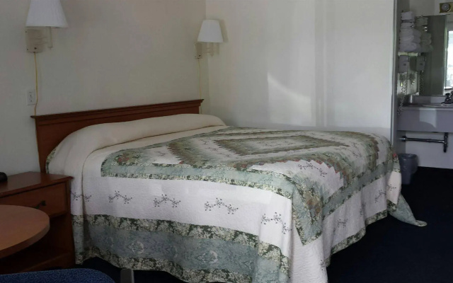 photo 4 of The Springs Motel