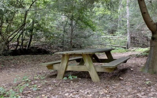 photo 4 of The Timber Cabin