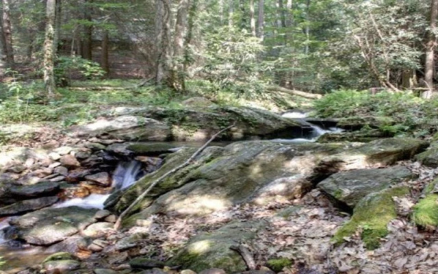 photo 5 of The Timber Cabin