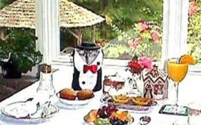 photo 4 of The Tudor House Bed and Breakfast