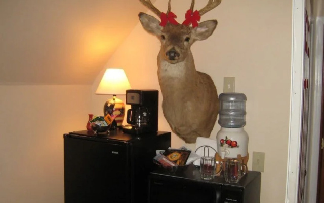 photo 5 of Wild Game Inn