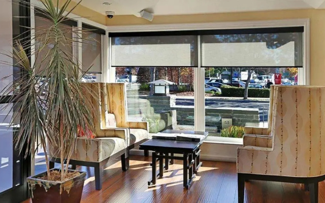 photo 3 of The Zen Hotel Palo Alto