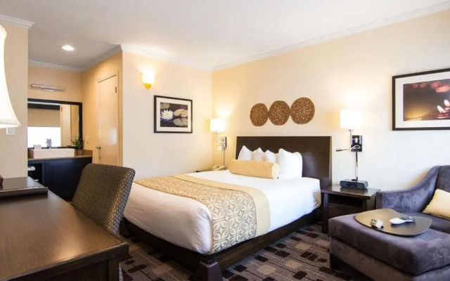 photo 4 of The Zen Hotel Palo Alto