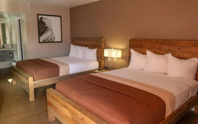 photo 4 of Thunderbird Hotel