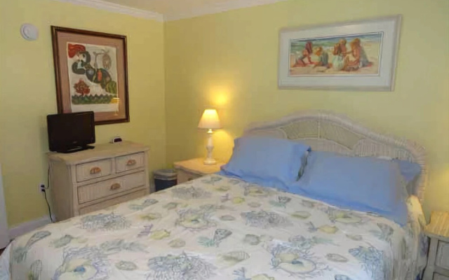 photo 3 of Tiki by RedAwning