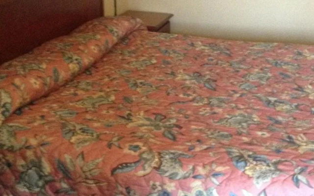 photo 4 of Timber Motel