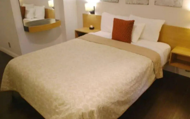 photo 5 of Touchstone Hotel - City Center