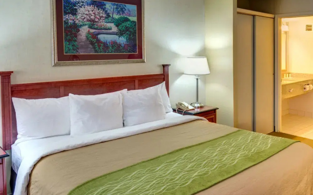 photo 5 of TownePlace Suites College Park