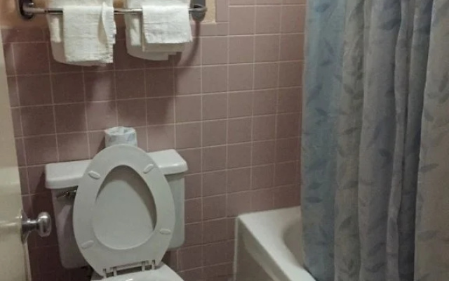 photo 4 of Travel Inn