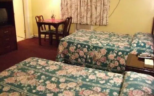 photo 3 of Travel Inn