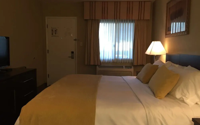 photo 4 of Travelodge at the Presidio San Francisco
