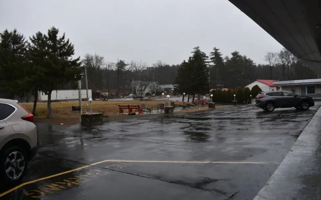 photo 3 of Casino Motel